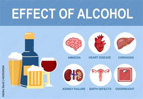 Effects Of Alcohol On Human Body Infographic In Flat Design Alcoholism