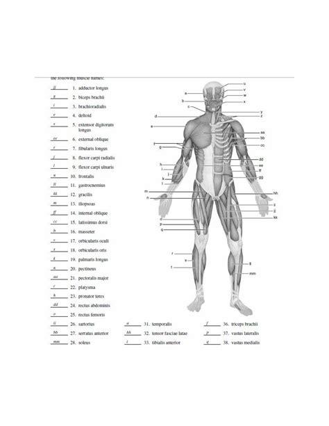Anterior muscles in the body. Blank Muscle Diagram to Label - ANP1106 - uOttawa - StuDocu