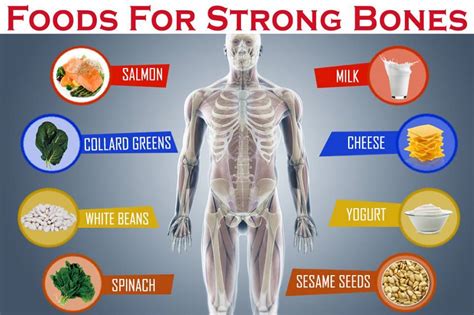 Balanced Diet Chart Healthy Bones How To Diet And Eat Healthy