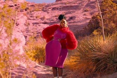 Janelle Monáe Wears Great Pants In Her ‘pynk Music Video