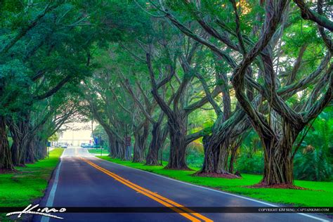 Hobe Sound At Bridge Road With Tree Coverage To Beach Hdr Photography