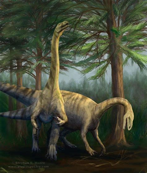 Massospondylus By Stephen R Moore On Deviantart Prehistoric Animals