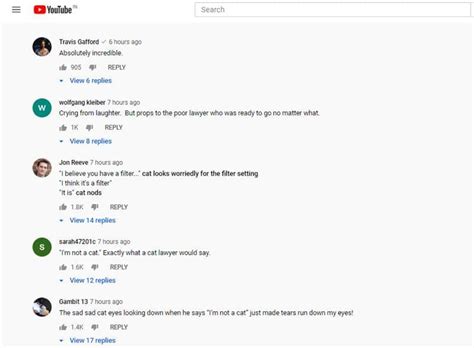 Mr ponton, i believe you have filter turned on in the video settings. I am not a cat: US lawyer after display pic shows 'cute ...