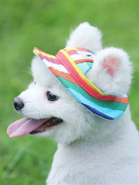 Colorful Dog Baseball Cap