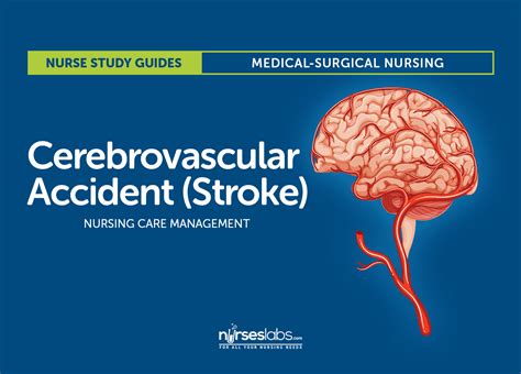 Cerebrovascular Accident Stroke Nursing Care And Management A Study