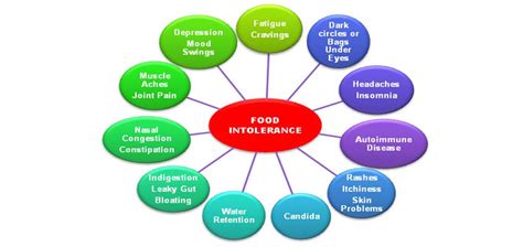 Igg's are antibodies, and some practitioners use these tests to identify food sensitivities. Food Sensitivity Testing | Hormone Replacement Therapy ...