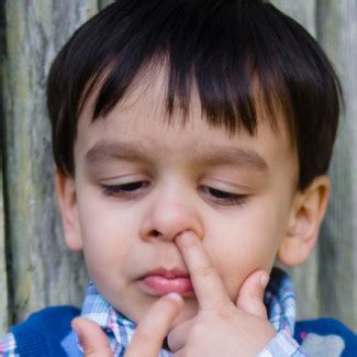 Learn more about diet plan at trim down club blog! Trim Down Club Reviews | Trim Down Club