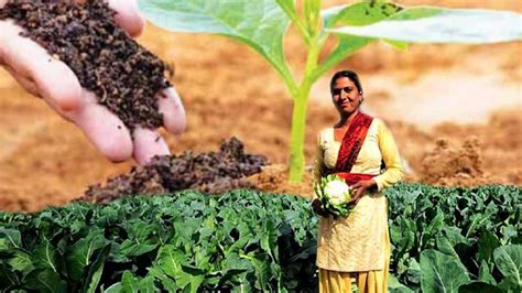 Benefits Of Organic Farming Modern Farming Methods And Benefits