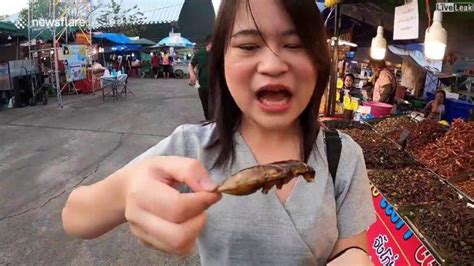 elle mange des insectes pas très appétissants voir même dégoutants discover the best videos ti