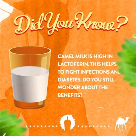 To keep the body healthy. Pin on Costa Camel Milk Health Benefits
