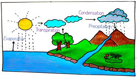 How To Draw Water Cycle For School Project Water Cycle Project
