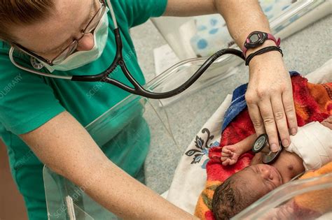 Hospital Doctor With Newborn Baby Stock Image C0298678 Science