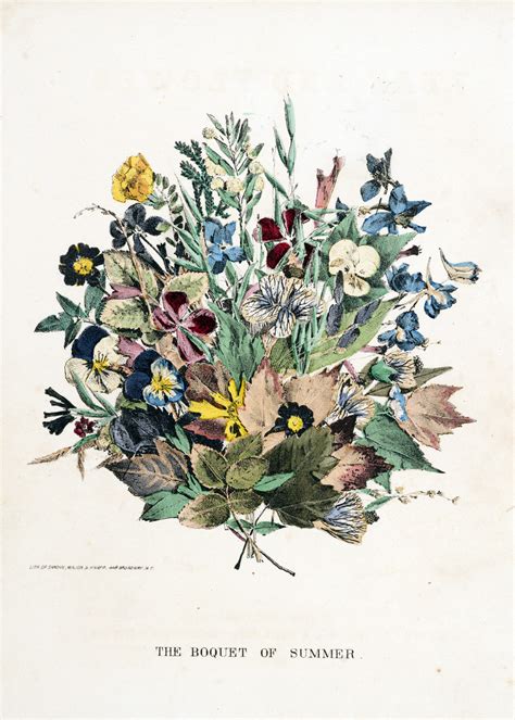 Vintage Botanical Prints 31 In A Series A Bouquet Of Flowers From