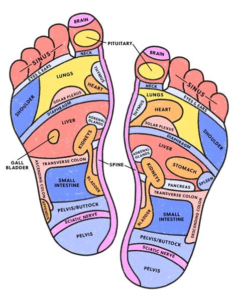 Foot Reflexology Chart Acupressure Chart Acupuncture Print Reflexology