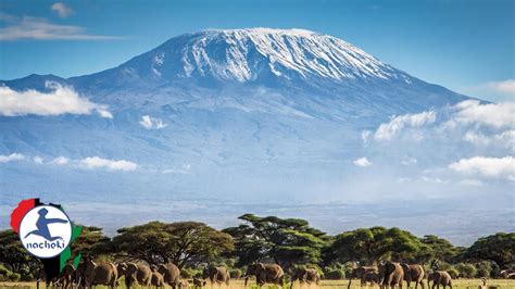 What Are The Tallest Mountains In Africa