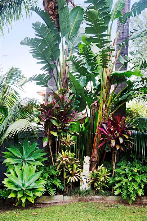 15 Beautiful Tropical Front Yard Landscape Ideas To Make Your Home
