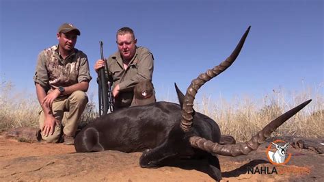 African Hunting At Its Best Nahla Safaris Showreel 2020 Youtube