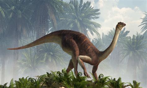 Meet Every Dinosaur Featured In Jurassic World Dominion 30 Total