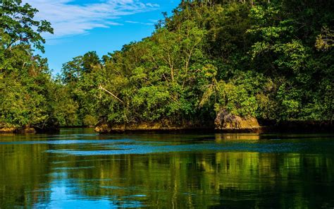 Raja Ampat Island Forest Tropical Indonesia Beach Nature Sea