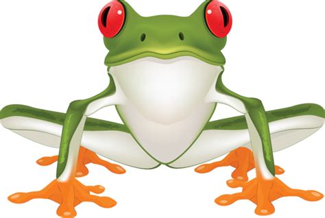 Red Eyed Tree Frog Clipart Clipart Best