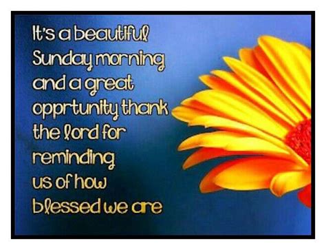 #Blessed #Sunday #Thankful | Sunday morning, Happy sunday quotes, Sunday quotes