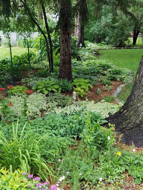 Shade Garden Tips For Creating A Shade Garden Shadegarden