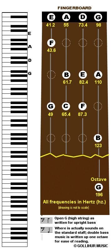 Frequencies What Are The Frequencies Of Bass Notes Faq Courtesy Of