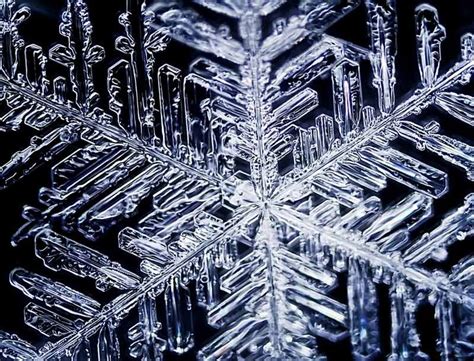 This Is A Snowflake Seen Under My Microscope With Darkfield