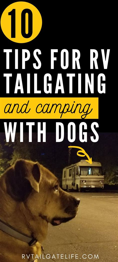 10 Tips For Rv Tailgating With Dogs Rv Tailgate Life Rv Road Trip