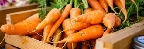 Beneficios De Comer Zanahoria Cruda Healthy Poke