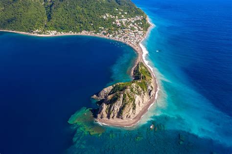 Dominica has recorded at least four species of snakes and 11 species of lizards. Dominica Caribbean Travel Guide | Uncommon Caribbean