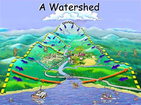 Think Like A Watershed Project Watershed