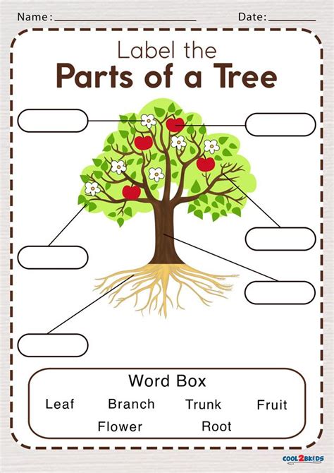 Includes an anchor chart to review, requires students to drag the labeled arrow over the correct part of the letter. Parts of a Tree Worksheet | Cool2bKids in 2021 ...