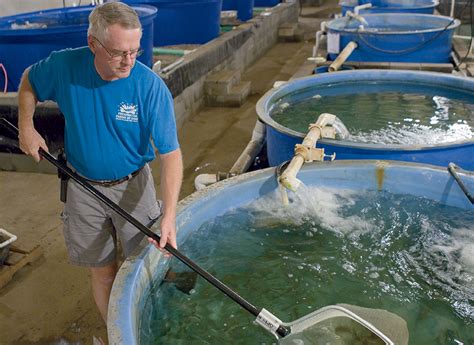 Ohio Aquaculture Flourishes Farm Flavor