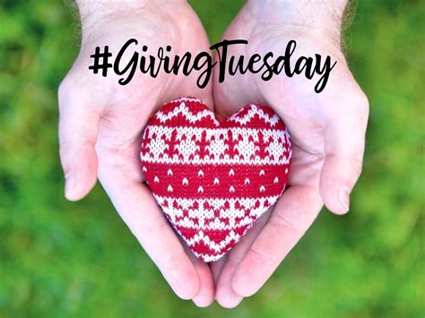 Givingtuesday 7 St Pete Nonprofits That Could Use Your Help St