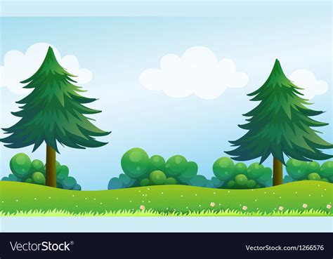 The Pine Trees At The Hilltop Royalty Free Vector Image Vectorstock