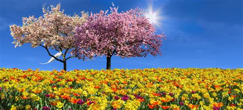 Фото природа пейзаж весна - бесплатные картинки на Fonwall