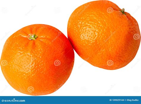 Two Oranges Isolated On White Stock Photo Image Of Fruits Juicy