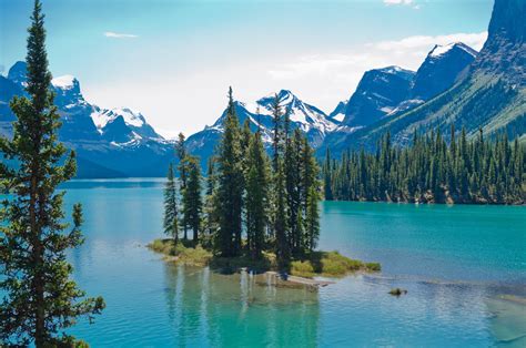 11 Gorgeous Spring Destinations In Canada We Wish We Could Visit Right Now