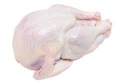 Another Naked Turkey Story Sydney Of Oysterville
