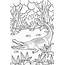 Alligator Coloring Pages  Cool2bKids