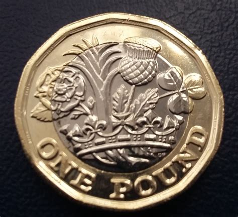 1 Pound 2017 Elizabeth Ii 1952 2022 Great Britain Coin 41019