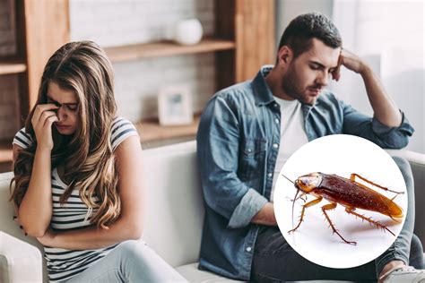 I Get Revenge On Peoples Exes Using Cockroaches