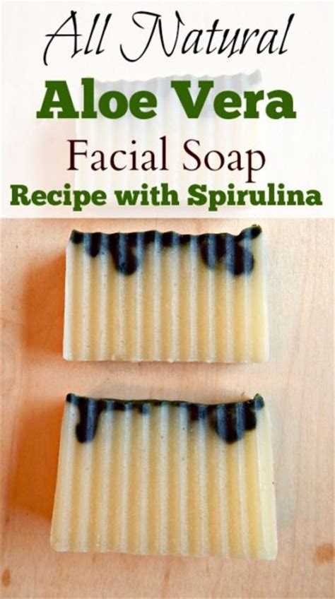 Aloe Vera Facial Soap Recipe Simple Life Mom