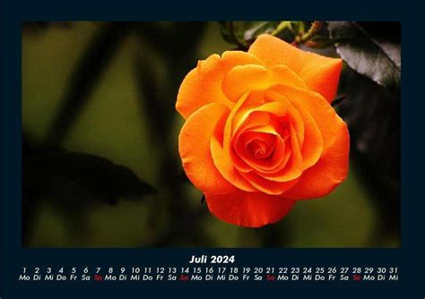 Tobias Becker Blumenkalender 2024 Fotokalender Din A4 Kalender Jpc