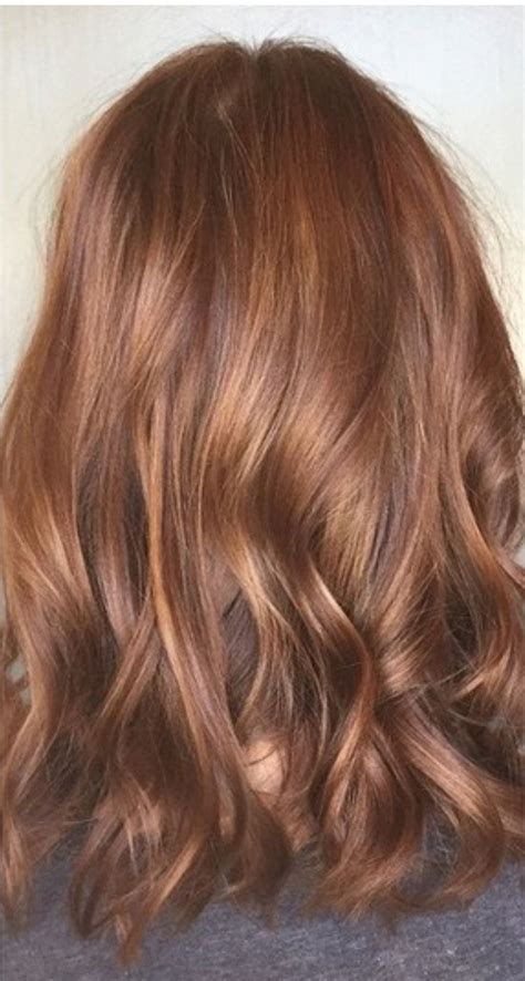 Auburn Coppertone Fall Hair Color In Hair Color Auburn Brown