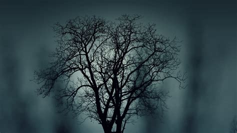 Dark Mysterious Wallpapers Top Free Dark Mysterious Backgrounds