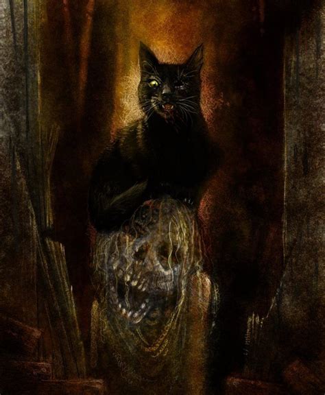 Ipoecollection “edgar Allan Poes The Black Cat By Kevin Nichols