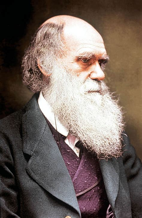 Charles Darwin The Shropshire Man Whose Ideas Changed The World