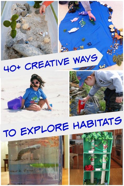 40 Animal Habitat Crafts And Science Project Ideas